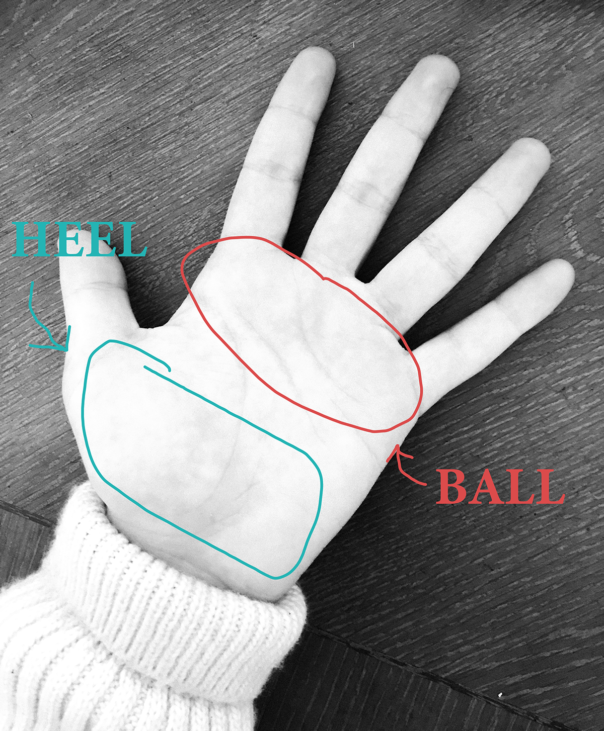 HIGHLY scientific diagram of the hand